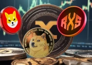 2025年之前最值得购买的加密货币：Rexas Finance (RXS)，仅次于狗狗币（DOGE）和柴犬（SHIB）